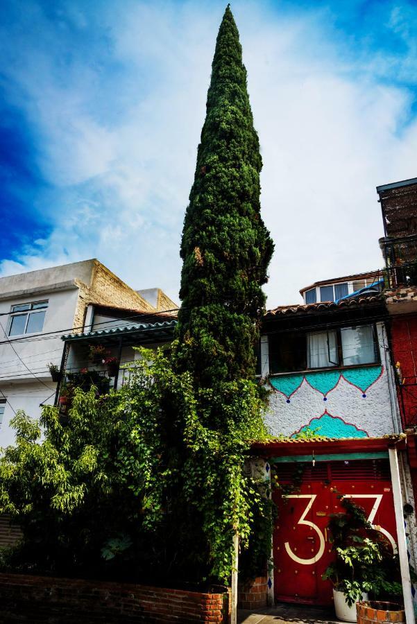Hostel Mexico Df Airport Cidade do México Exterior foto
